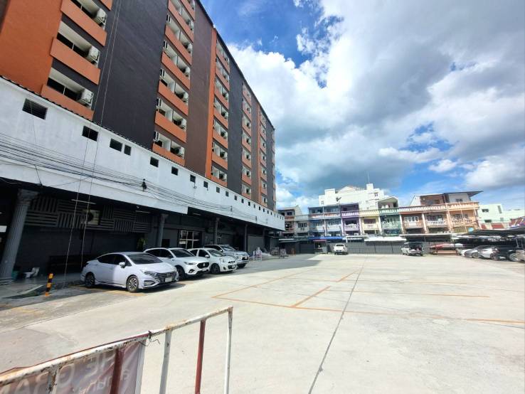 The Grand Day Night Over view