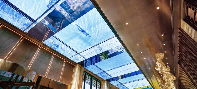 琥珀璞山度假村济州(Amber Pure Hill Hotels & Resorts Jeju)图片