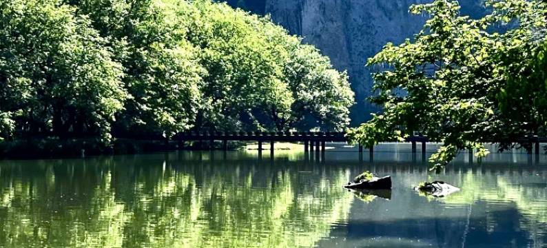 逸境・榴宿 | Luxury Nook・雅致山景悠享美宿(仙都景区店)图片