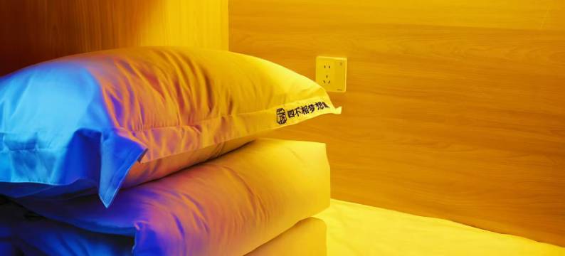 四不相梦想集青年旅舍(武汉园博园店)图片