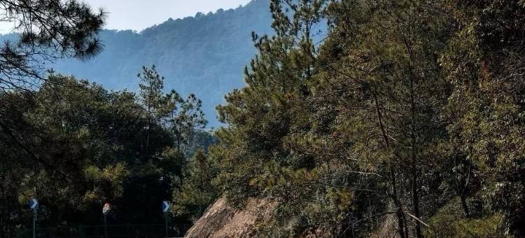 龙门南昆山明月竹海山庄图片