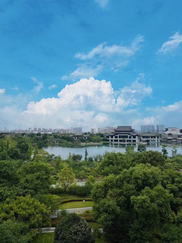 成都青城宋品酒店图片