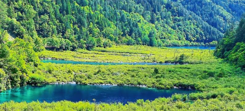 九寨沟见山拾山花园美宿图片