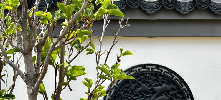 百马·将军府酒店(伊犁将军府店)图片