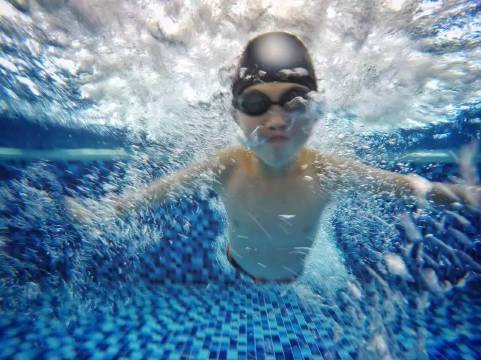 沈阳香格里拉图片