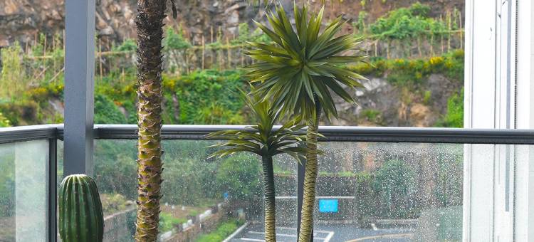 秦岚府花园酒店(横店影视城梦幻谷店)图片