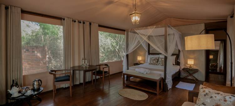 威尔帕图荒野(Wilds Wilpattu)图片