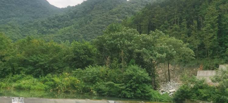 石台梦舍雅居民宿(仙寓镇店)图片