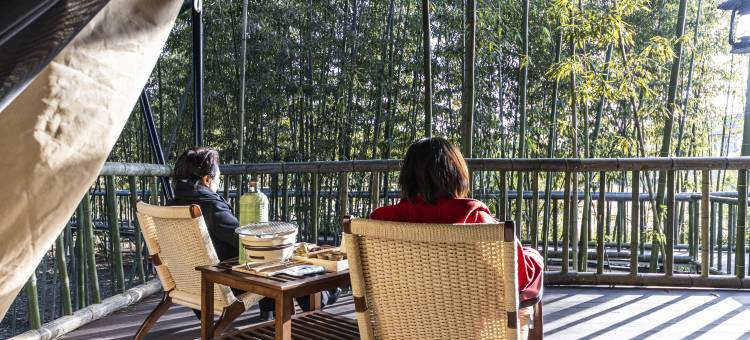 竹林雅居酒店图片