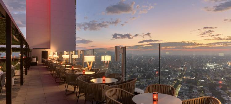 瓜达拉哈拉广场悦宜湾酒店(Riu Plaza Guadalajara)图片