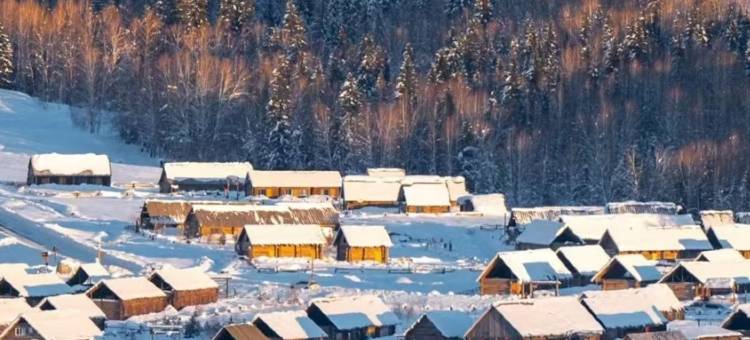 大菠萝山野派对｜中古法式雪山观景度假民宿(喀纳斯景区店)图片