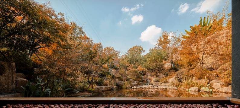杭州春之屋温泉酒店图片