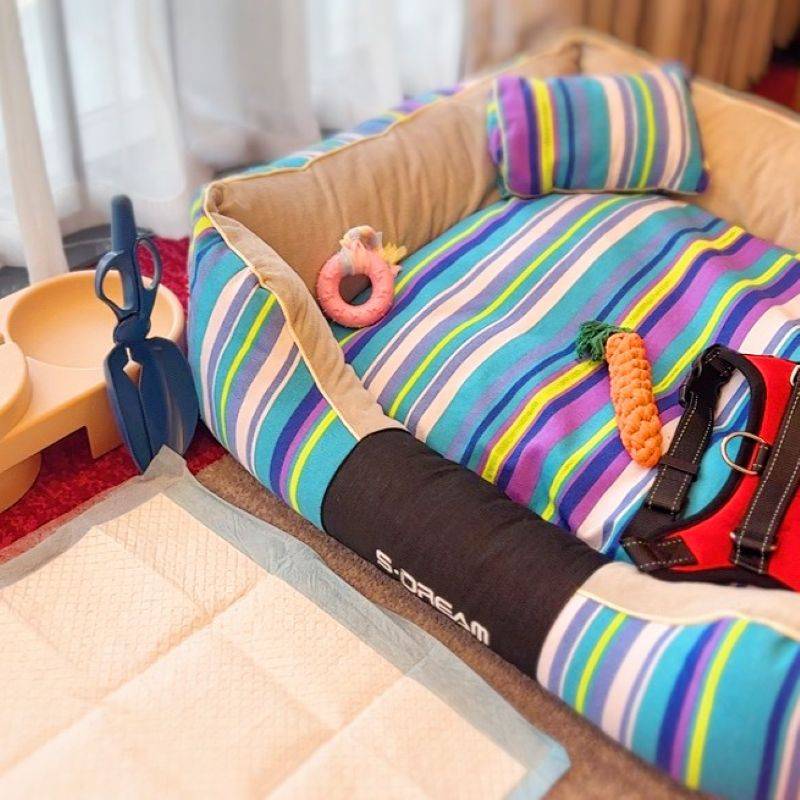 东莞松山湖高新诺富特酒店图片