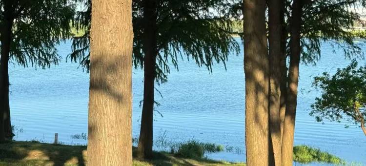 三只猫青年旅社(无锡叙丰地铁站店)图片