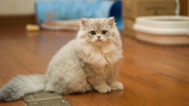 半隐巷住民宿(开封万岁山大宋武侠城店)图片