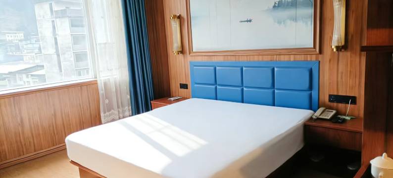 咸丰金天假日酒店图片