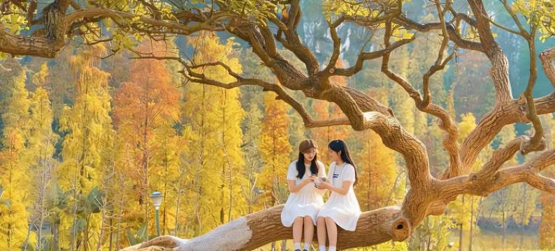 希影•印象酒店(吾悦PARCCENTRAL天光墟四会玉器博览城店)图片