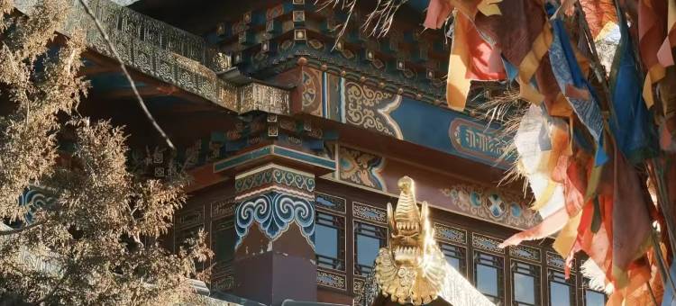 莫忧舍民宿(独克宗古城大佛寺转经筒店)图片