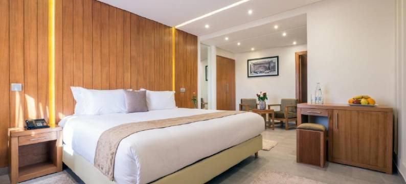 艾优步水疗酒店(Hotel Ayoub & Spa)图片