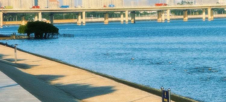 厦门金汐湾·观澜美墅(园博苑地铁站店)图片