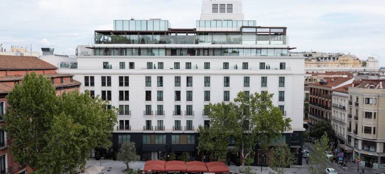 马德里桐森酒店，凯悦旗下(Thompson Madrid, Part of Hyatt)图片