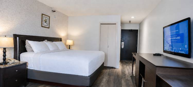 国际酒店(Hotel International)图片