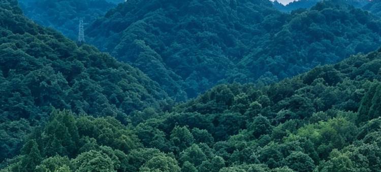 星汉相约·山野Starfall Hermitaget民宿(青城山景区店)图片