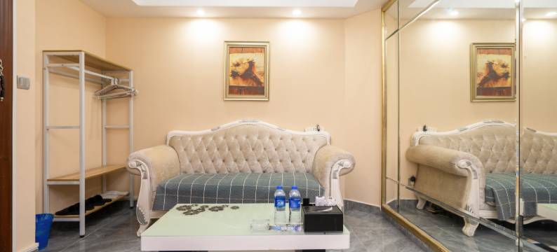 威尔士国际行政公寓(深圳华强北科学馆地铁站店)图片