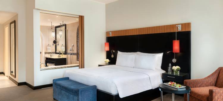 伊本巴图塔盛橡酒店(Oaks Ibn Battuta Gate Dubai)图片