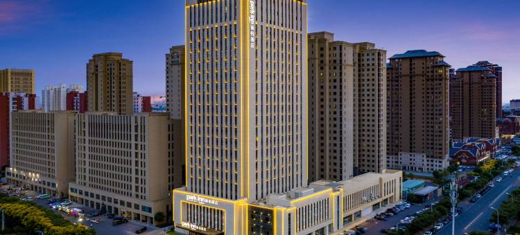 天津静海万达广场丽柏酒店图片