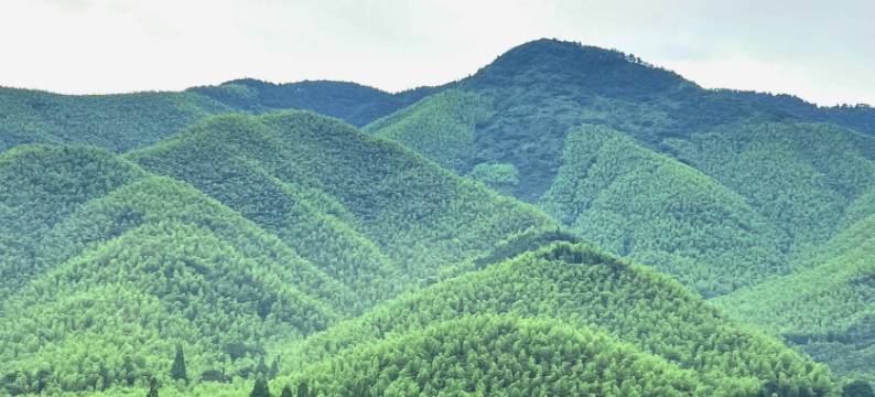 莫干山雨菲客栈(仙潭村风景区店)图片