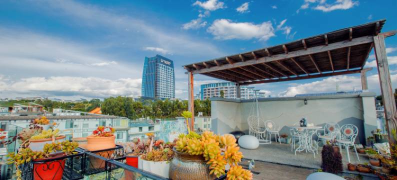 大理左岸栖舍民宿(洱海公园滨海大道店)图片