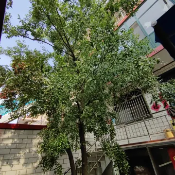 晋中家和和民宿