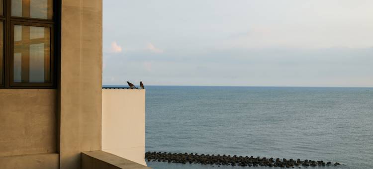 緩慢大鵬灣图片