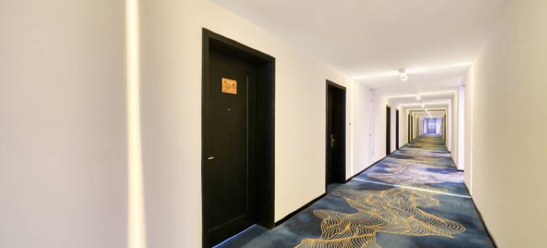 雷迪森世嘉酒店(杭州火车西站浙一医院店)图片