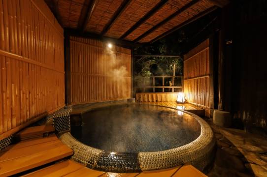 汤花满开旅馆-限成人(Izu Atagawa -Yubana Mankai -Adult Only-)图片