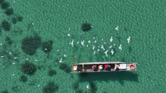 晏坐湖景清奢民宿(泸沽湖猪槽船游湖大落水村店)图片