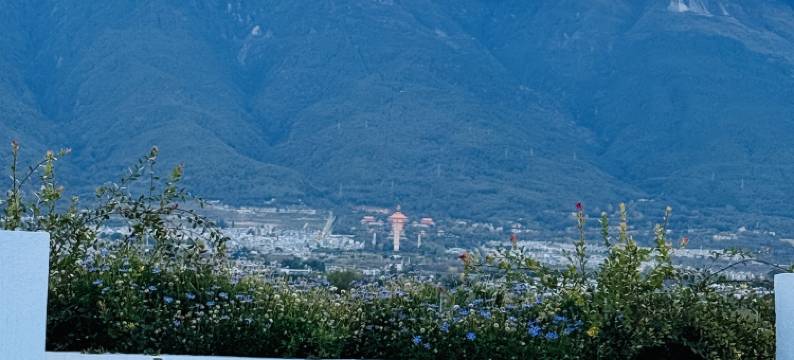 大理才艺轻奢民宿(洱海才村店)图片