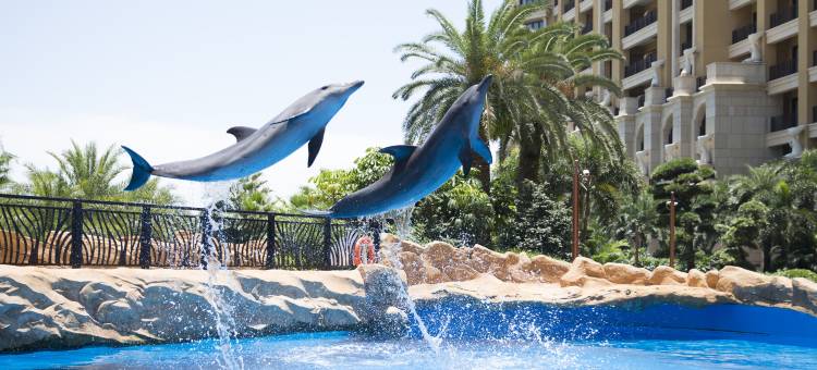 长隆横琴湾酒店(珠海长隆旗舰店)图片