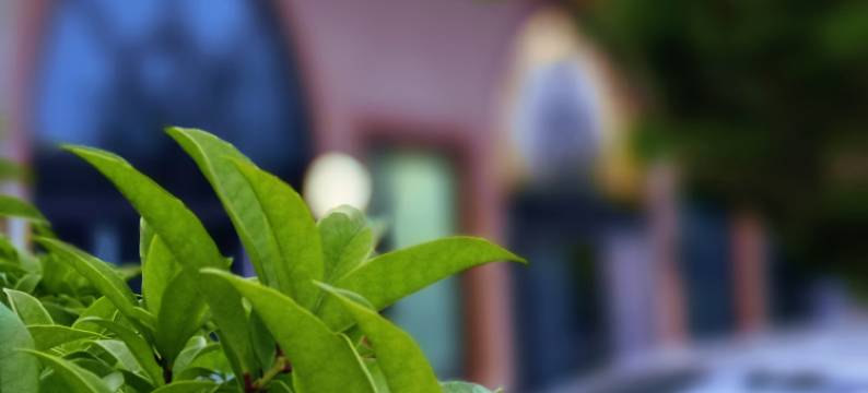 汀蘭河畔民宿图片