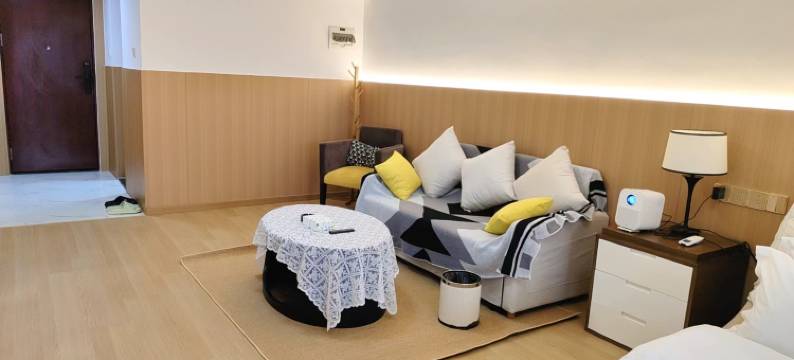 欧若拉精品公寓(深圳福田侨香地铁站店)图片