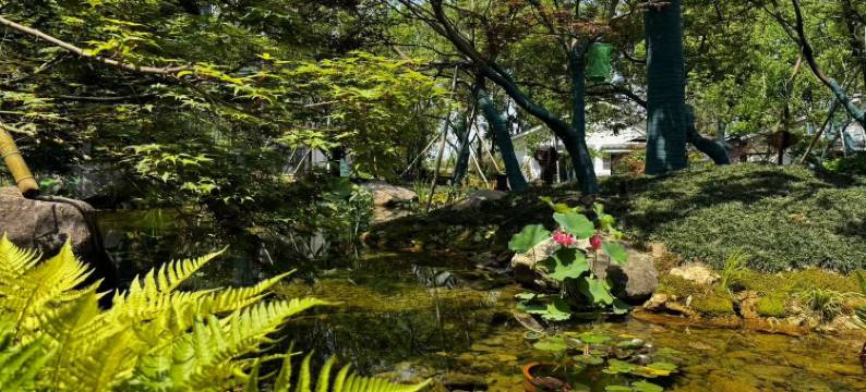 宣城溪客梦花园民宿图片