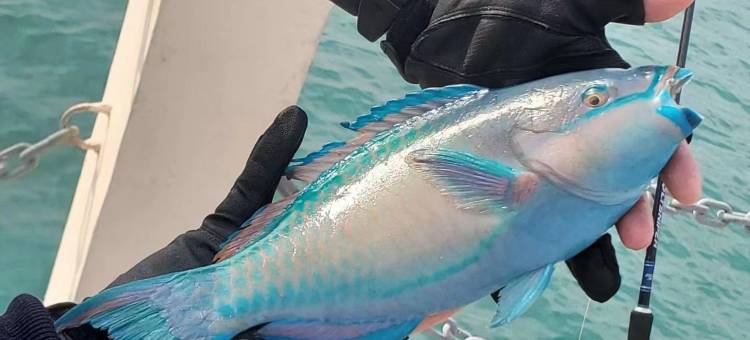 三亚鹿回头国宾馆图片