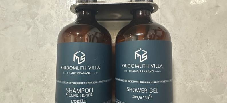 乌敦里斯别墅(Luang Prabang Oudomlith Villa & Travel)图片