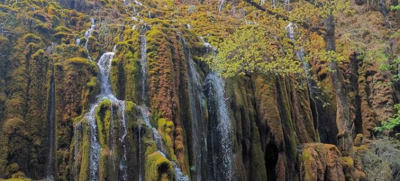 香格里拉·扎实农布·藏式禅意·观景庭院图片