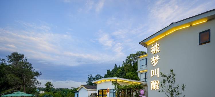 被梦叫醒酒店(成都天府国际机场店)图片