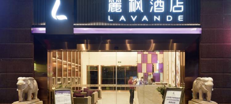 麗枫酒店(东莞南城西平地铁站店)图片