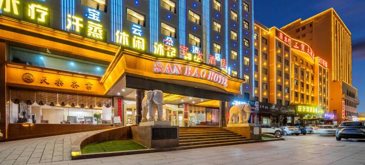 轮台三宝大酒店图片