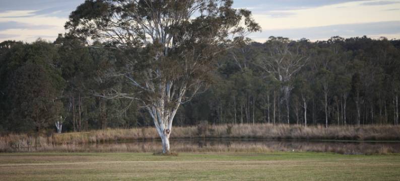 阿迪娜葡萄园和橄榄树林别墅别墅(Adina Vineyard)图片