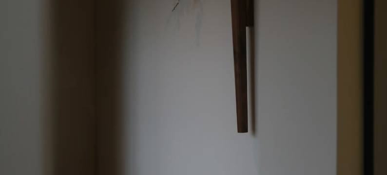 Lumos Solem·熙桐民宿(中国国花园店)图片